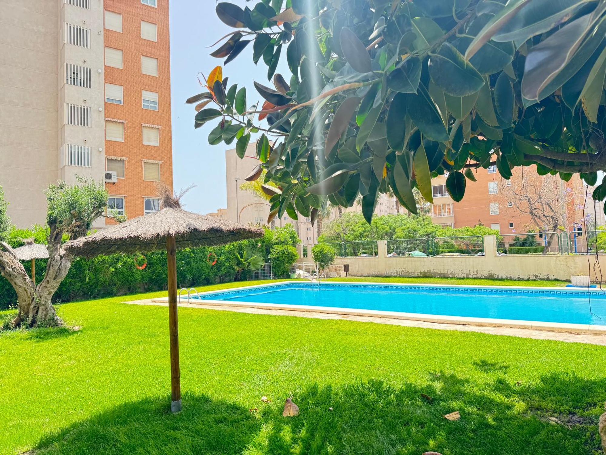 Estudio Con Piscina Alicante Buitenkant foto