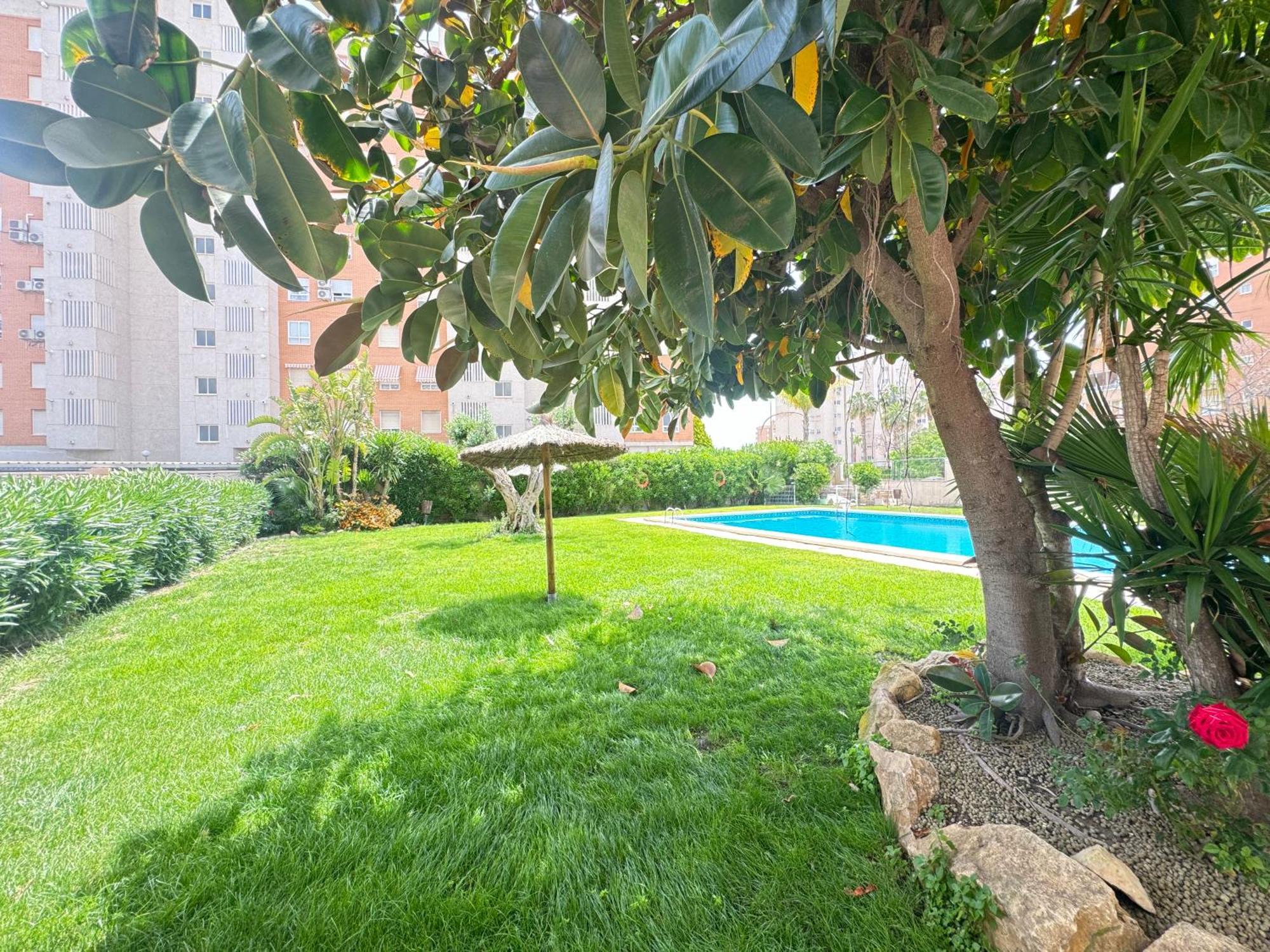 Estudio Con Piscina Alicante Buitenkant foto